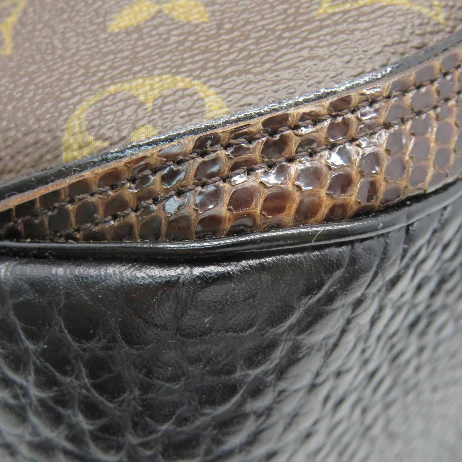 Snake Louis Vuitton Edition-Glossy Case (G010) – The Extreme Shop