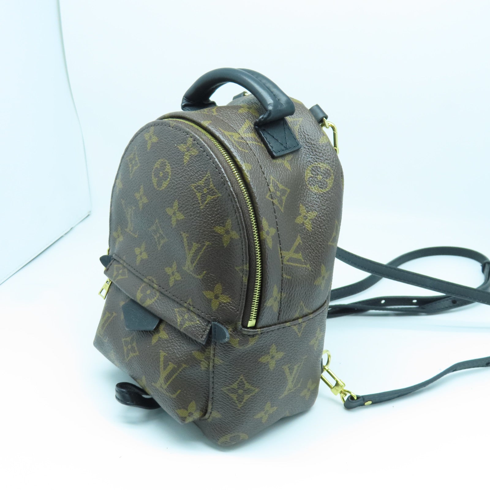 LOUIS VUITTON Monogram Palm Springs PM Gold Buckle Backpack Brown – Brand  Off Hong Kong Online Store
